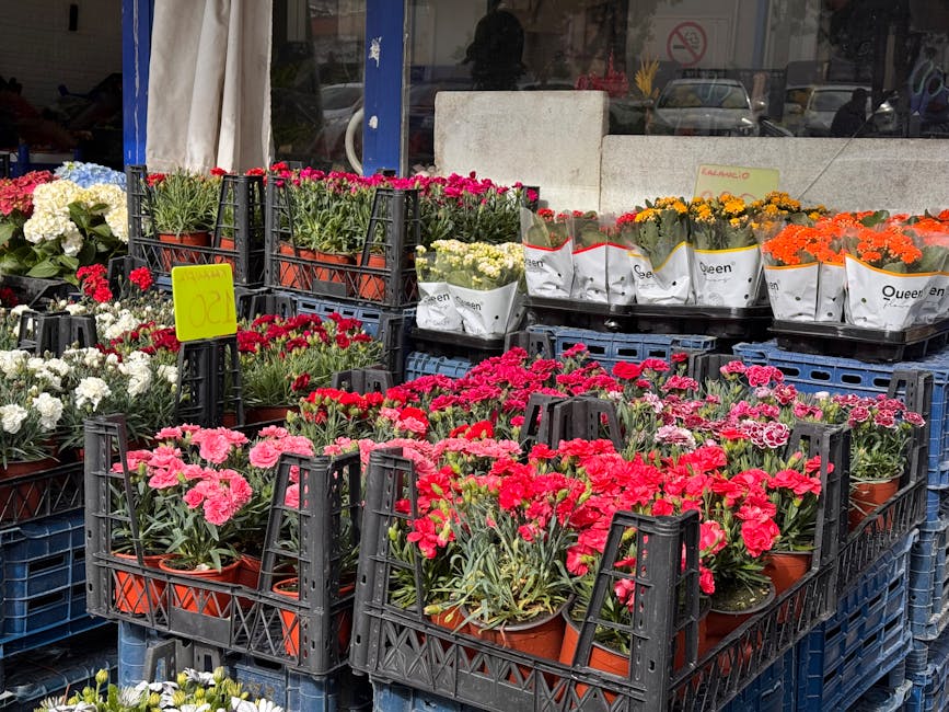 A display of potted flowers outside a flower shop, featuring vibrant pink, red, white, yellow, and orange blooms arranged in black plastic crates. The flowers include carnations and chrysanthemums wit